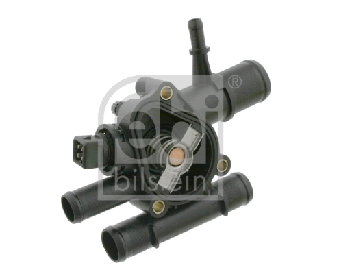 Thermostat, coolant